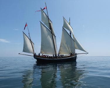 alt_im: VISITAS A GRAYHOUND