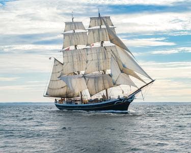 alt_im: VISITAS A MORGENSTER